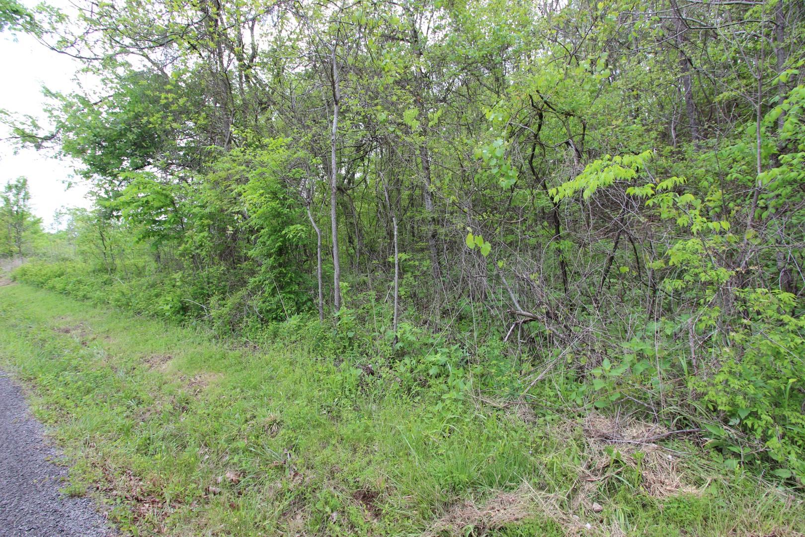 92 Cox Hollow Road Dover, TN 37058 - Photo 13 of 14 Gallery Image 13
