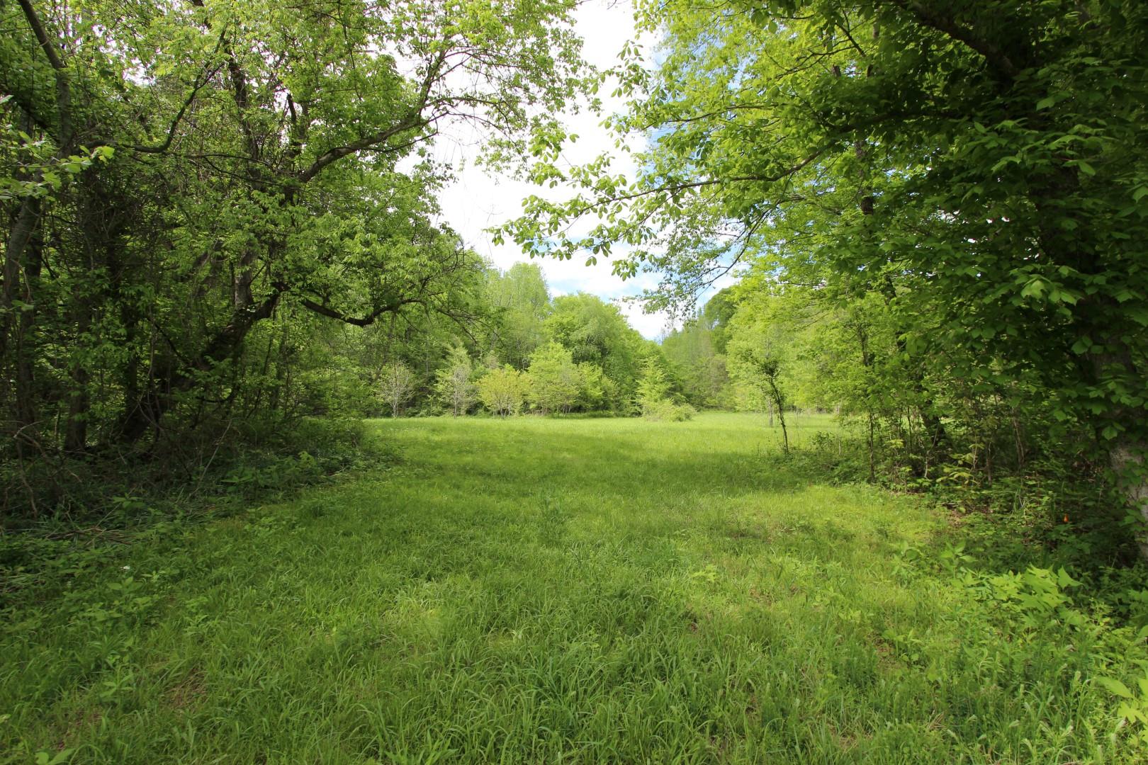 92 Cox Hollow Road Dover, TN 37058 - Photo 2 of 14 Gallery Image 2
