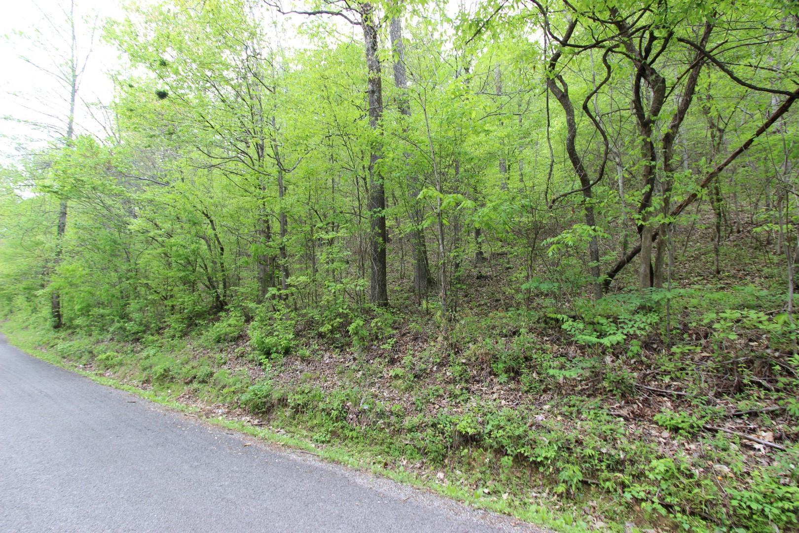 92 Cox Hollow Road Dover, TN 37058 - Photo 3 of 14 Gallery Image 3