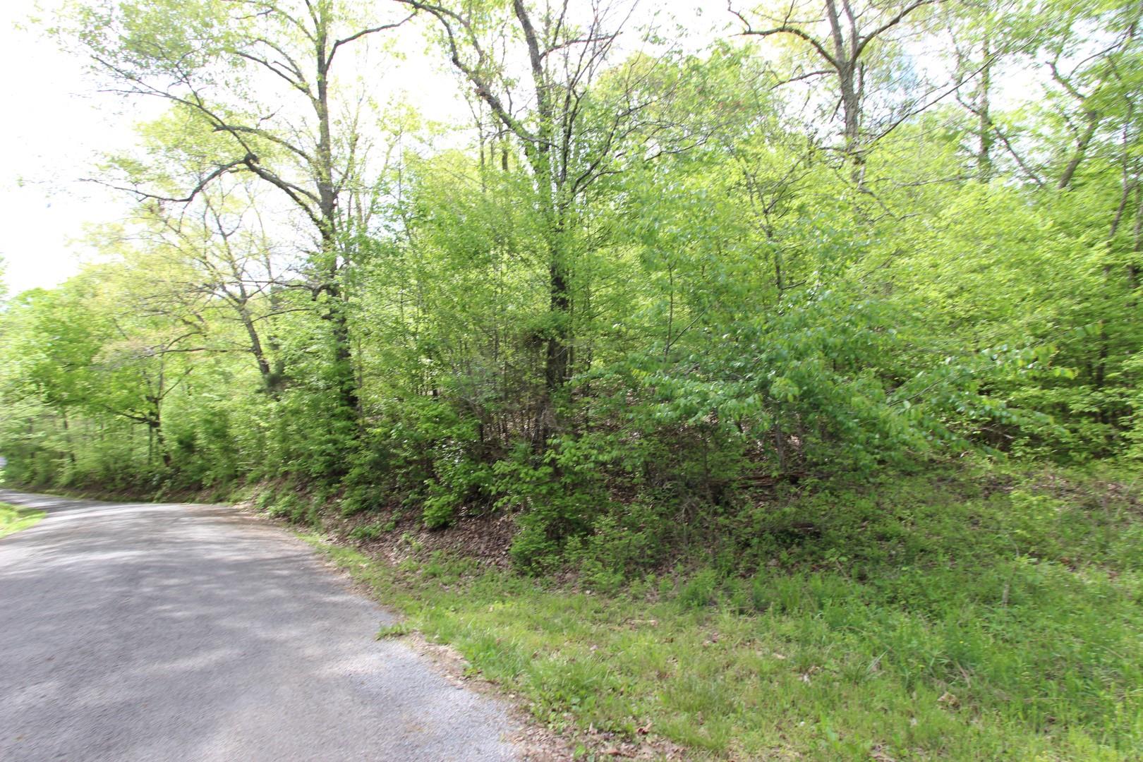 92 Cox Hollow Road Dover, TN 37058 - Photo 4 of 14 Gallery Image 4