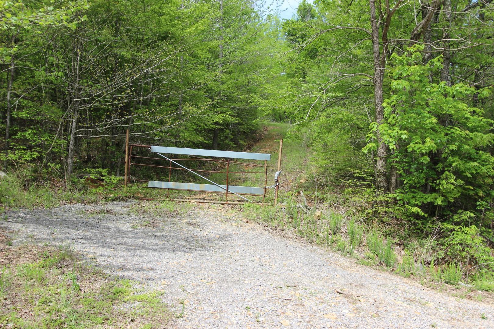 92 Cox Hollow Road Dover, TN 37058 - Photo 6 of 14 Gallery Image 6