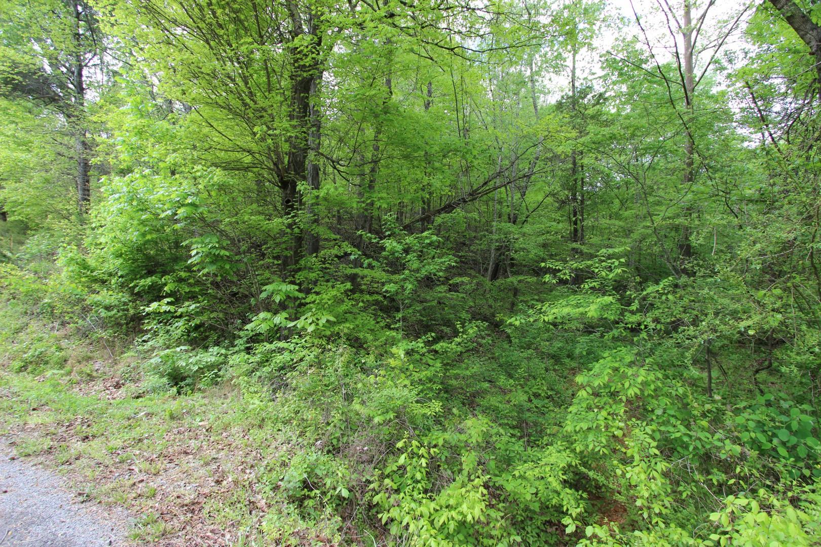 92 Cox Hollow Road Dover, TN 37058 - Photo 8 of 14 Gallery Image 8