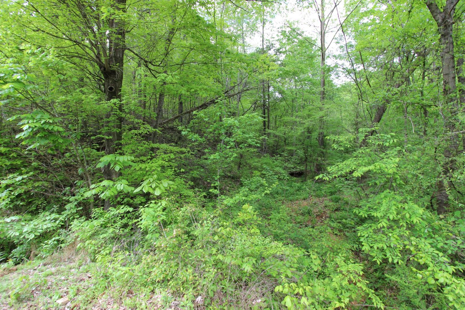 92 Cox Hollow Road Dover, TN 37058 - Photo 9 of 14 Gallery Image 9