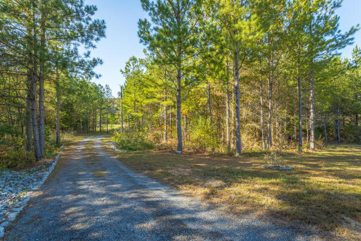 237 County Road 752 Riceville, TN 37370 - Photo 7 of 39 7
