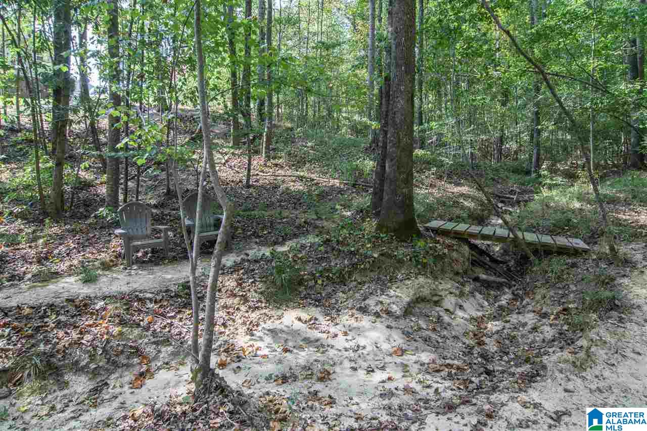 124 Astor Circle Chelsea, AL 35043 - Photo 50 of 50