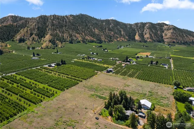a view of a street with a mountain