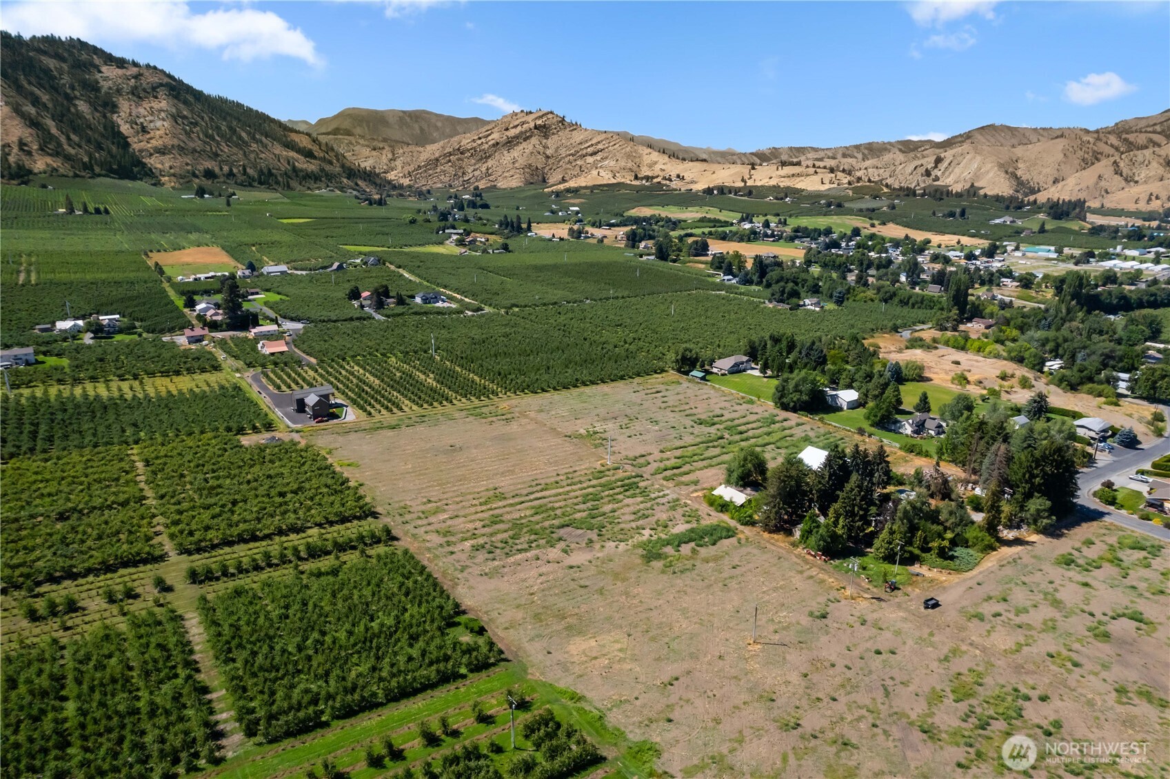 0 Wohlers Road Cashmere, WA 98815 - Photo 13 of 15 a view of a lush green hillside and houses