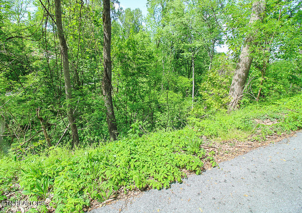 Lot 579 Crooked Ridge Road Gatlinburg, TN 37738 - Photo 5 of 24 Q