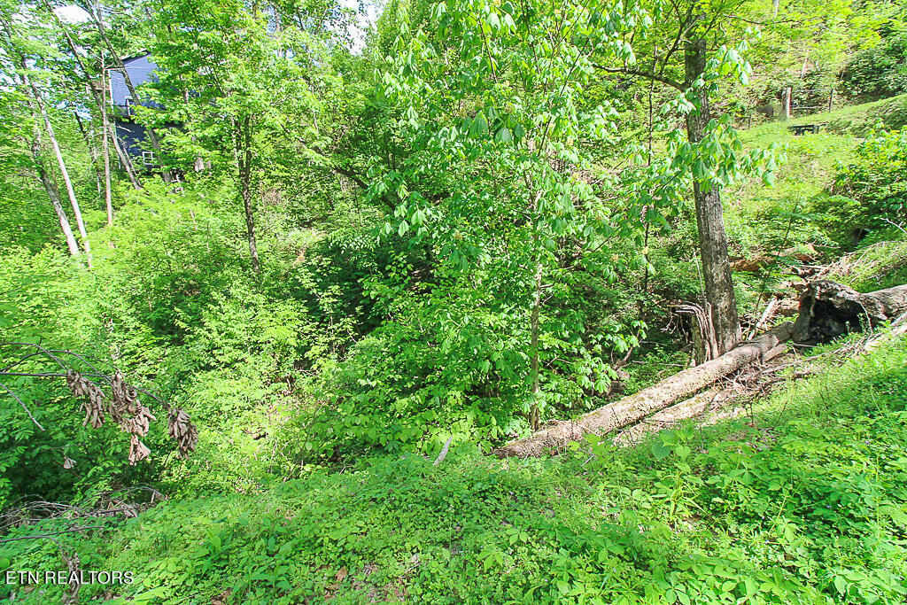 Lot 579 Crooked Ridge Road Gatlinburg, TN 37738 - Photo 8 of 24 M