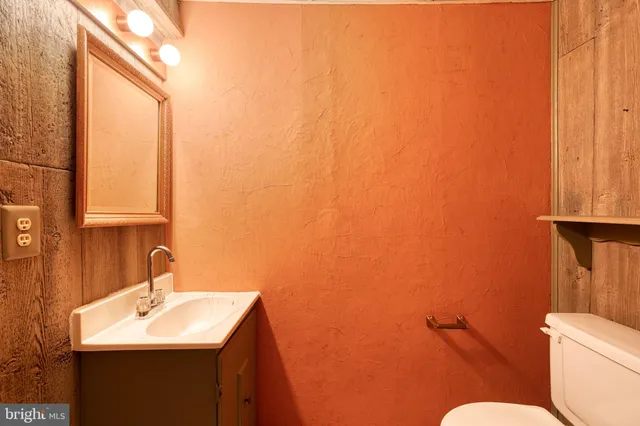 a view of a yard with large tree