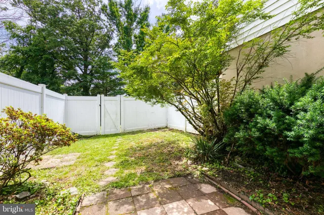 a view of a backyard with plants and large tree