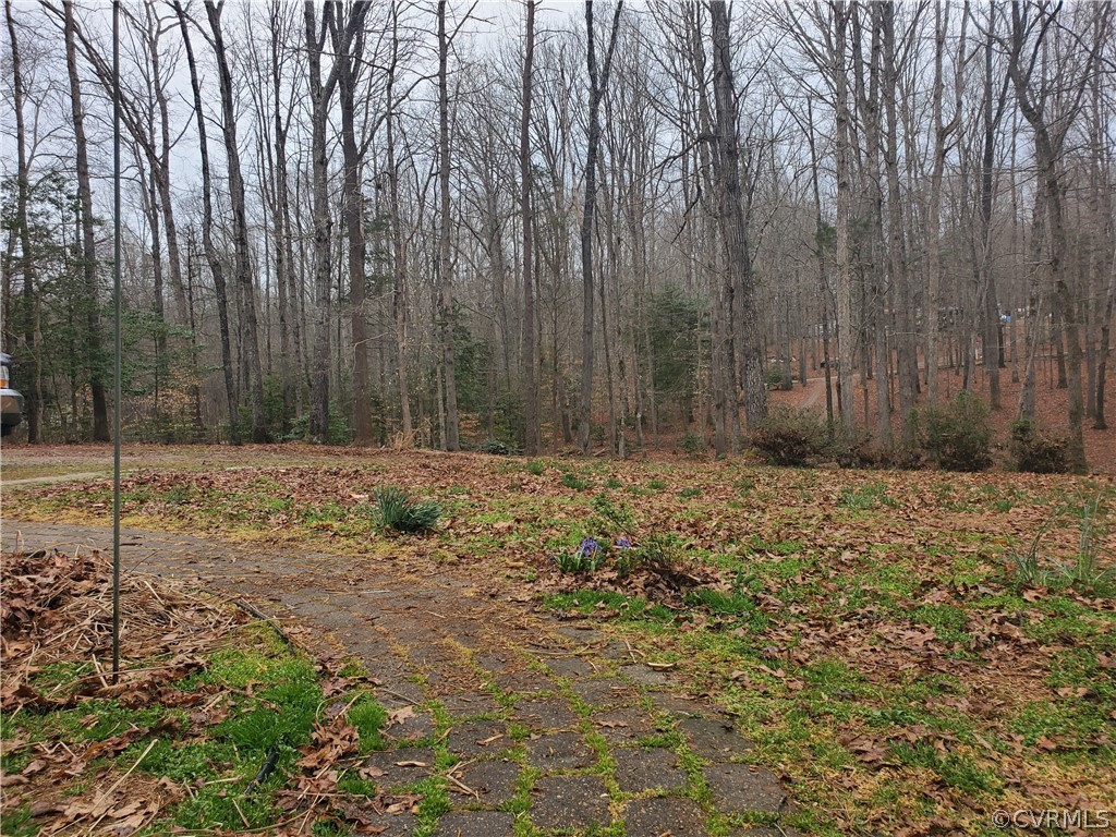 443 Lazy Acres Road Bumpass, VA 23024 - Photo 13 of 19 a view of wooden fence