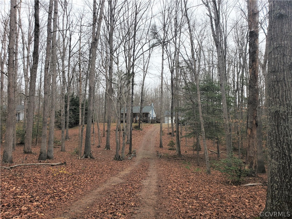 443 Lazy Acres Road Bumpass, VA 23024 - Photo 14 of 19 a view of a forest filled with trees