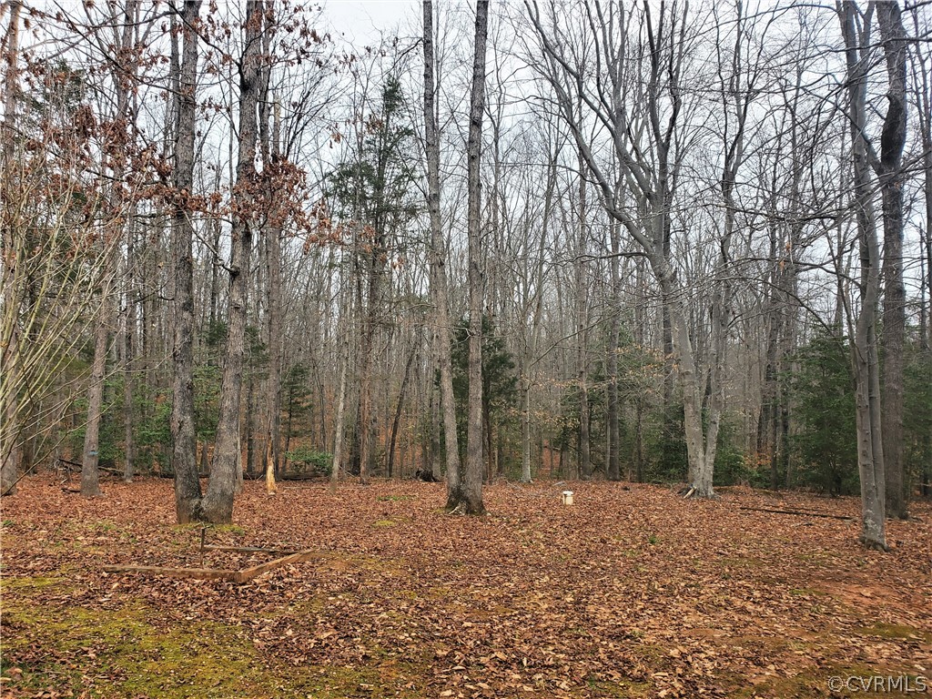 443 Lazy Acres Road Bumpass, VA 23024 - Photo 16 of 19 a backyard of a house with lots of trees