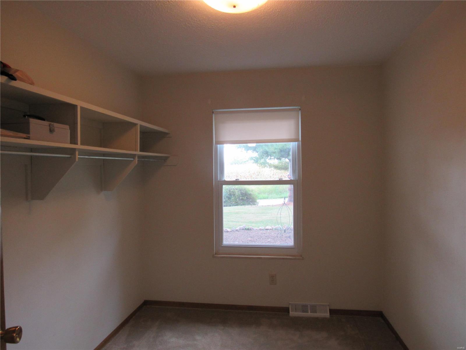 15886 Bartlett Road Dow, IL 62022 - Photo 14 of 38