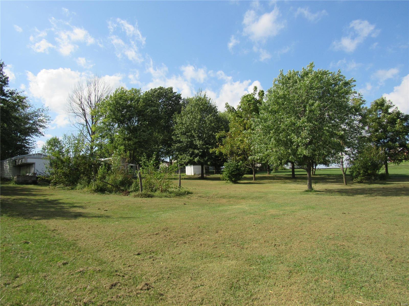 15886 Bartlett Road Dow, IL 62022 - Photo 26 of 38