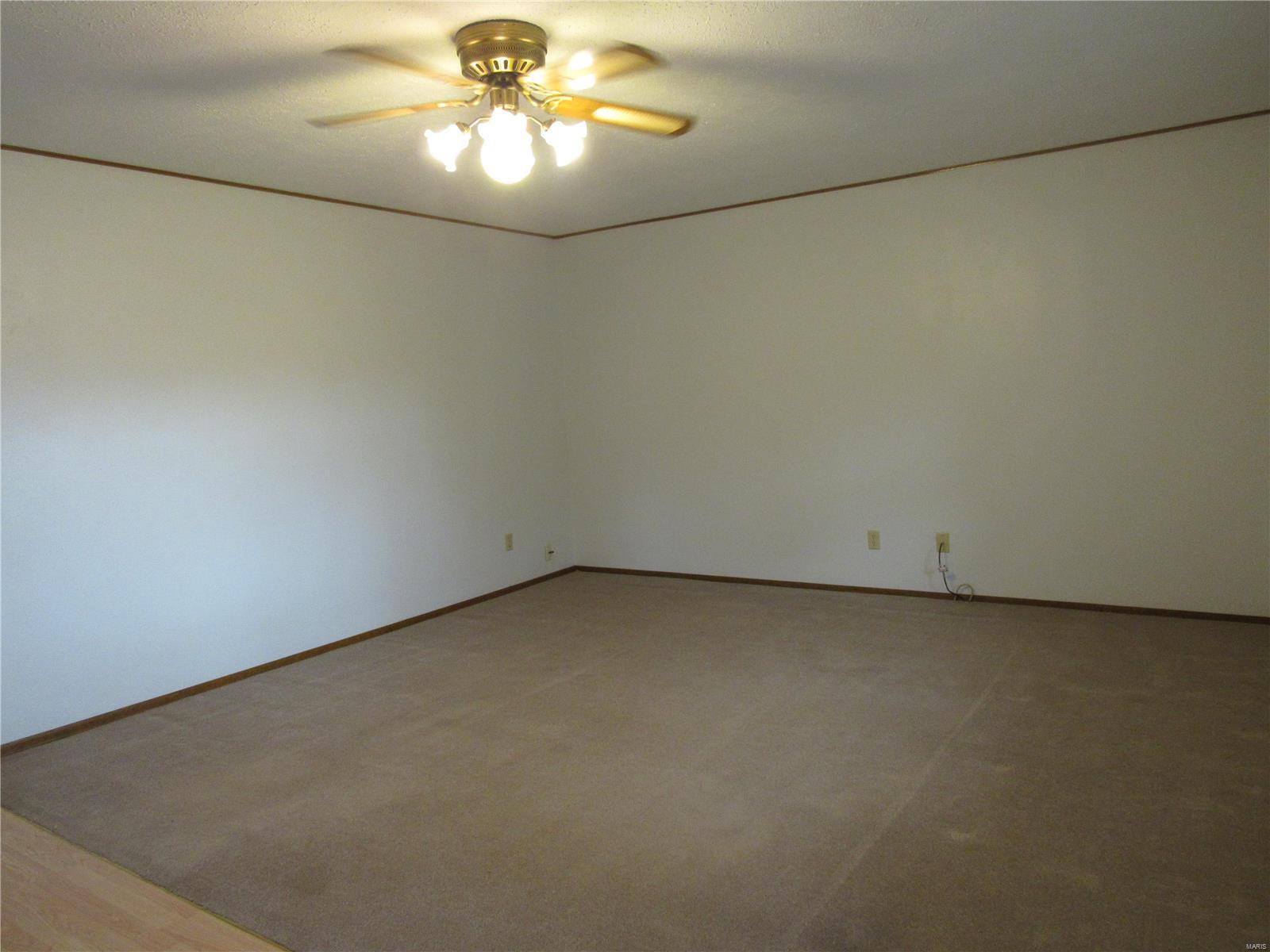 15886 Bartlett Road Dow, IL 62022 - Photo 7 of 38