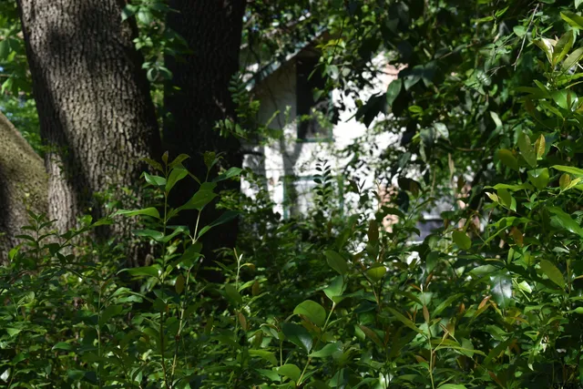 $24,500 | 10946 Clover Lane, Frankston, TX 75763