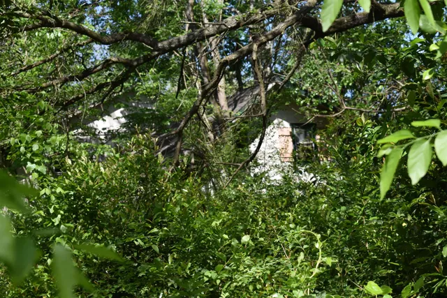 $24,500 | 10946 Clover Lane, Frankston, TX 75763