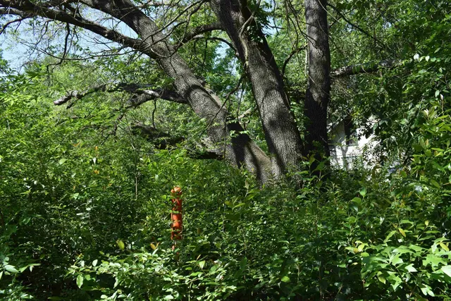 $24,500 | 10946 Clover Lane, Frankston, TX 75763