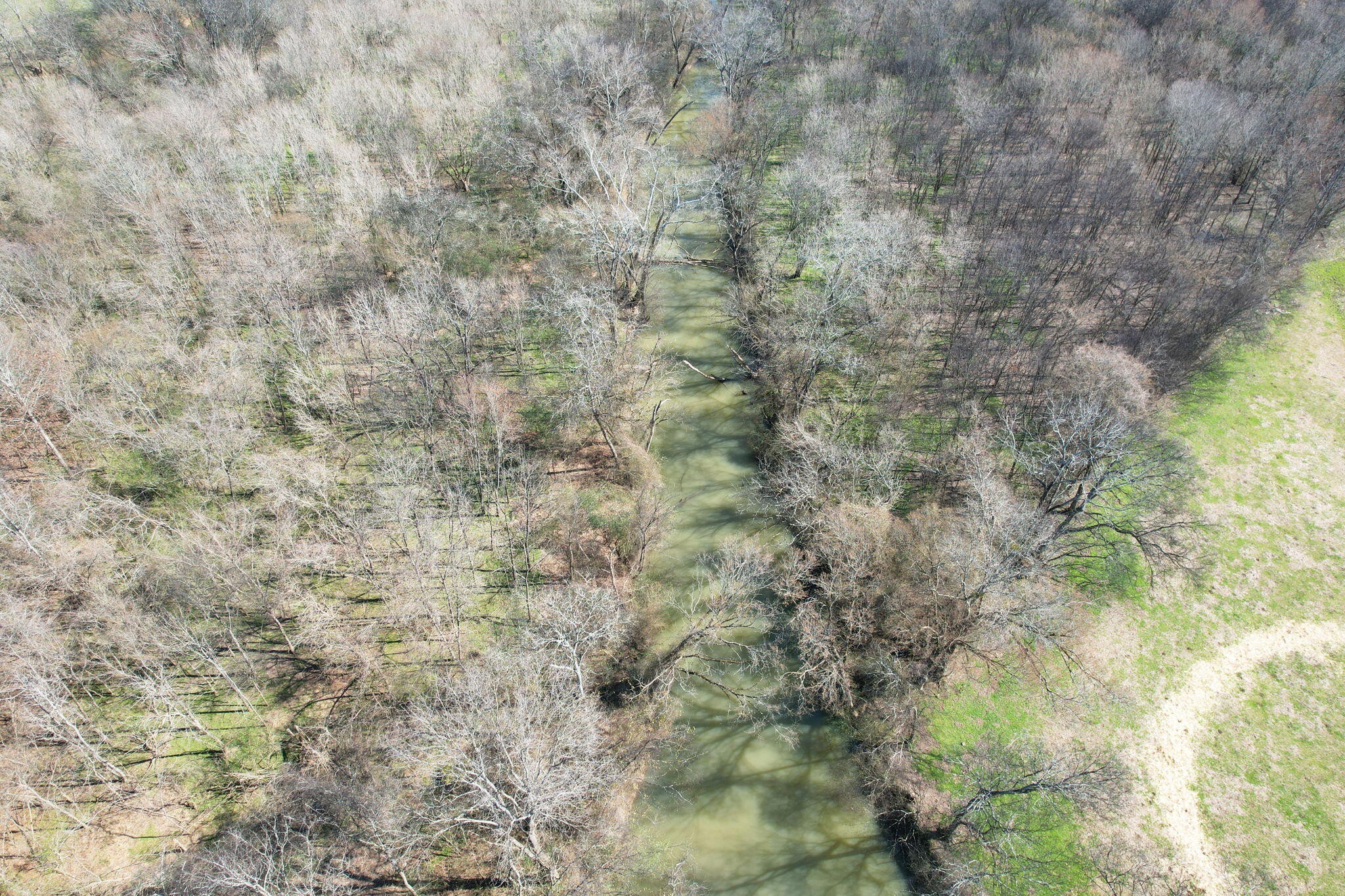0 Candies Creek Ridge Road Cleveland, TN 37312 - Photo 6 of 11