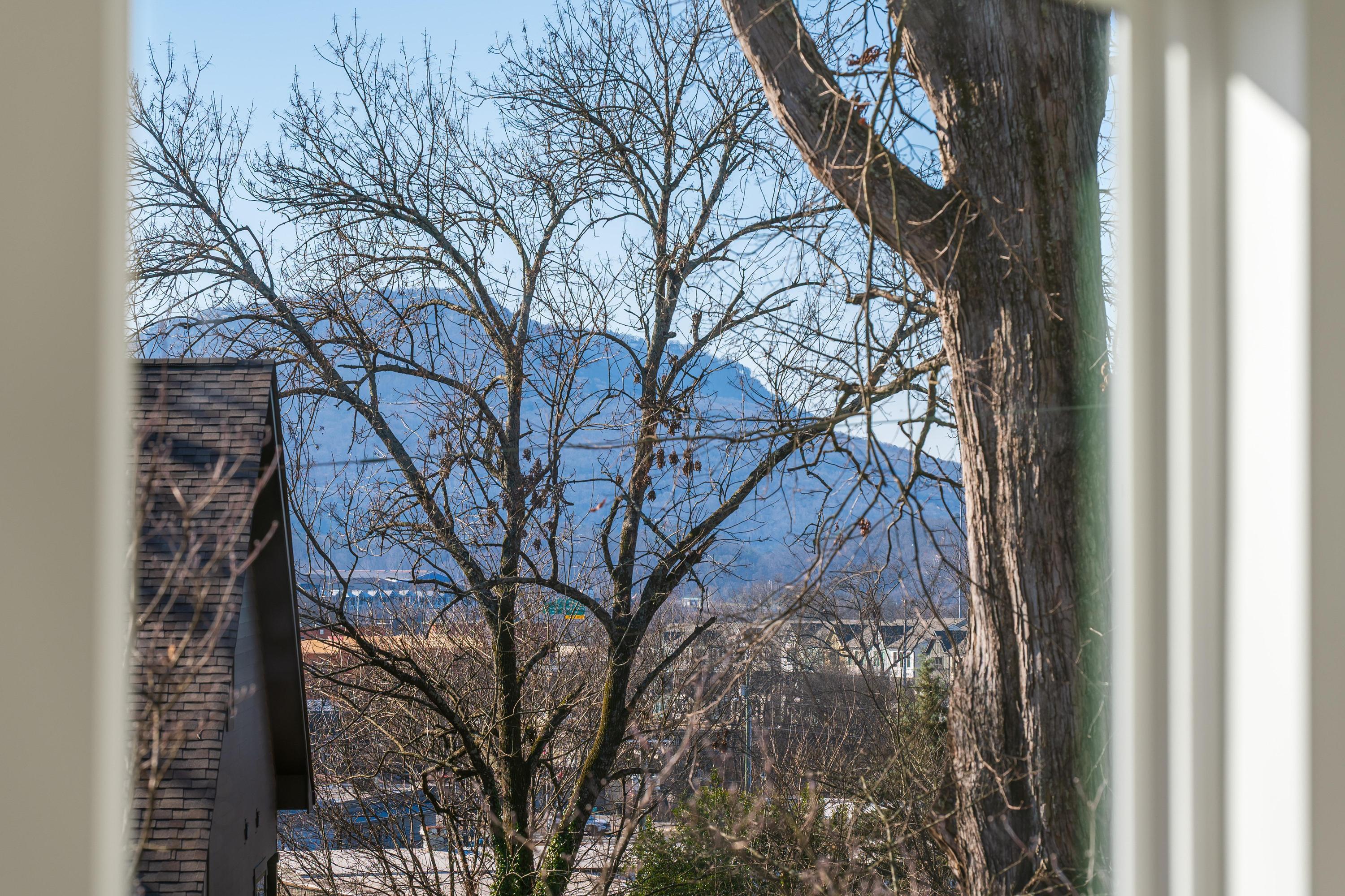 315 Pine Ridge Road Chattanooga, TN 37405 - Photo 32 of 42 2026_01_January_315_Pine_Ridge_Rd_0035