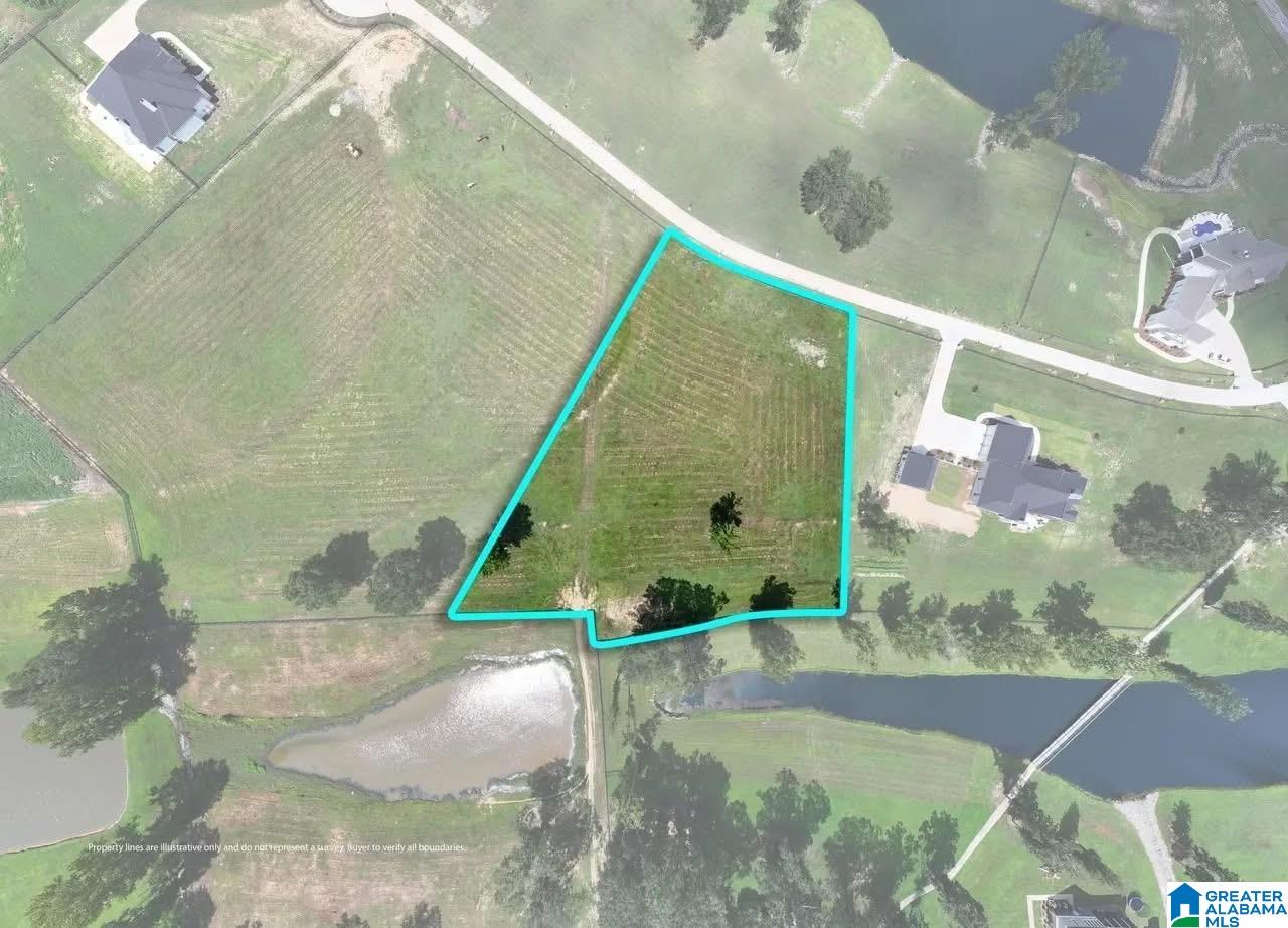 Lot 2 County Road 706, Unit 2 Cullman, AL 35055 - Photo 11 of 30