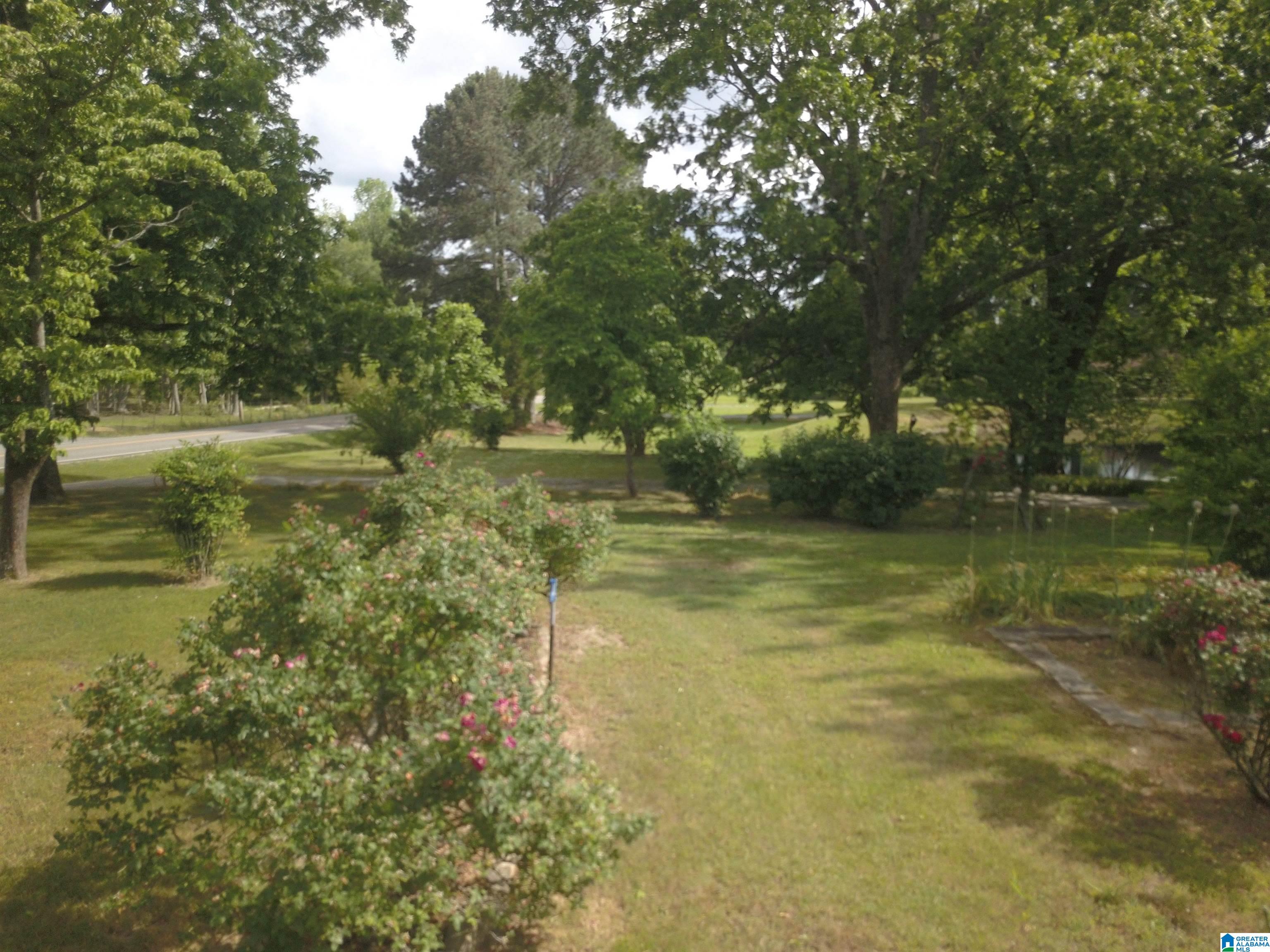 4219 Eva Road Eva, AL 35621 - Photo 4 of 50