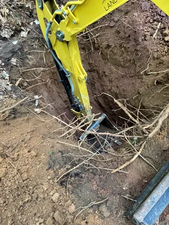 a view of a forest with trees