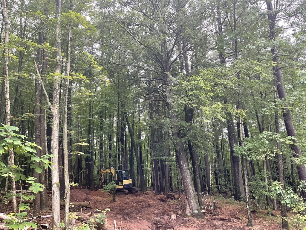 57 White Loaf Road Southampton, MA 01073 - Photo 8 of 19 a view of outdoor space and garden