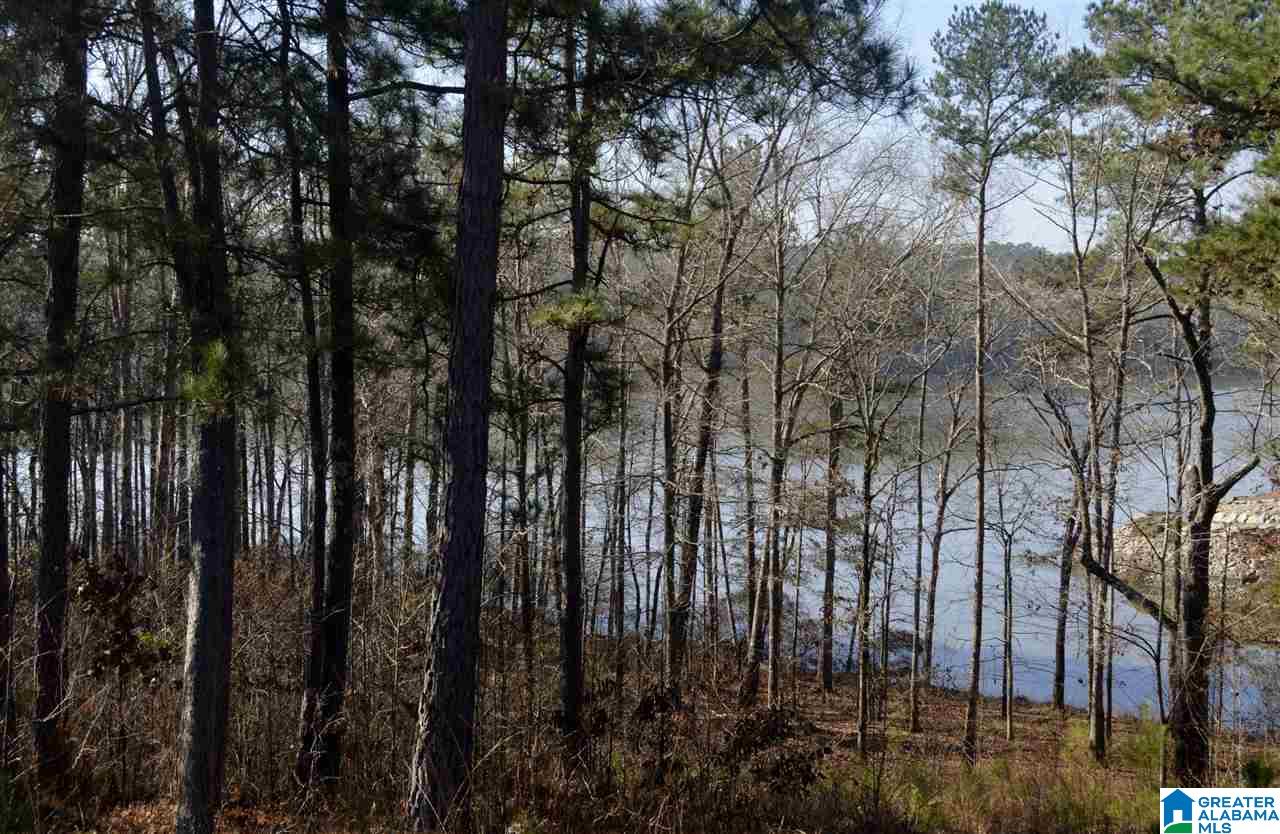 Stillwaters Trail, Unit 179 Sylacauga, AL 35151 - Photo 3 of 20