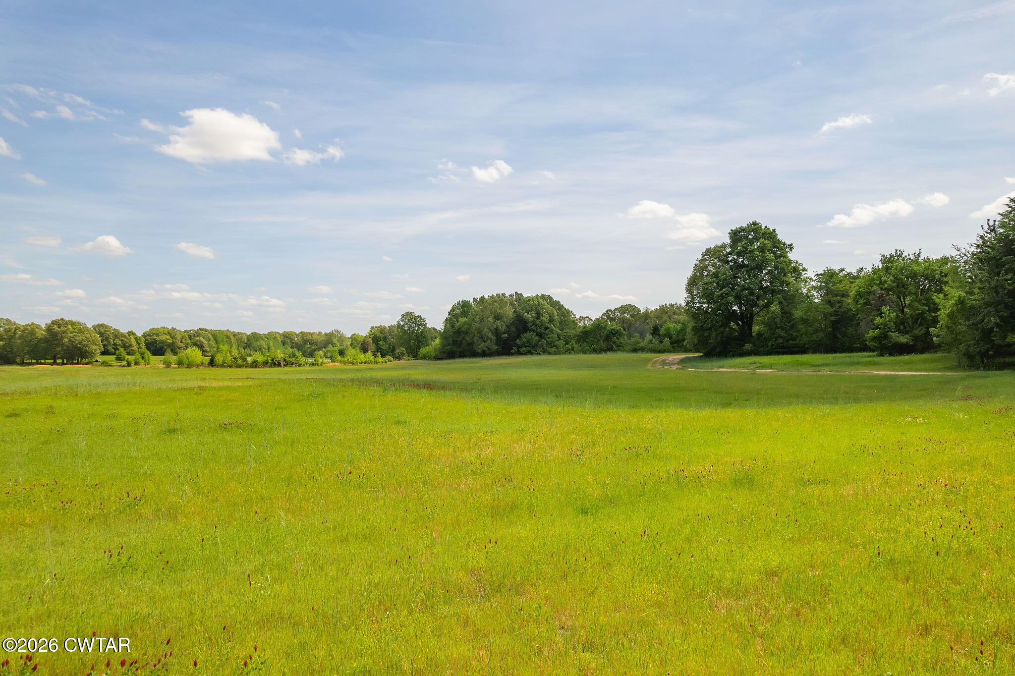 0 Egg Hill Road Alamo, TN 38001 - Photo 11 of 17 a view of an ocean from a balcony