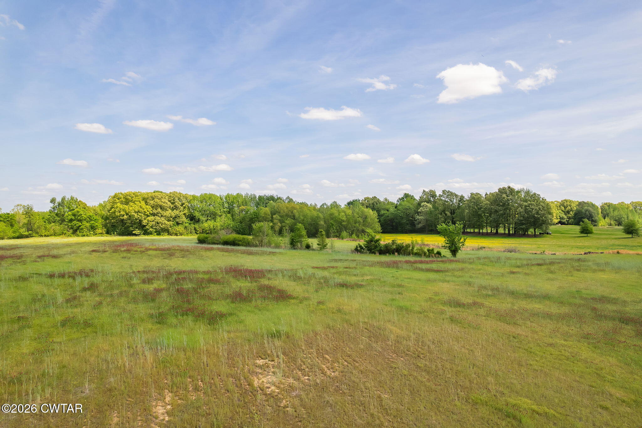 0 Egg Hill Road Alamo, TN 38001 - Photo 13 of 17 a view of an outdoor space and yard