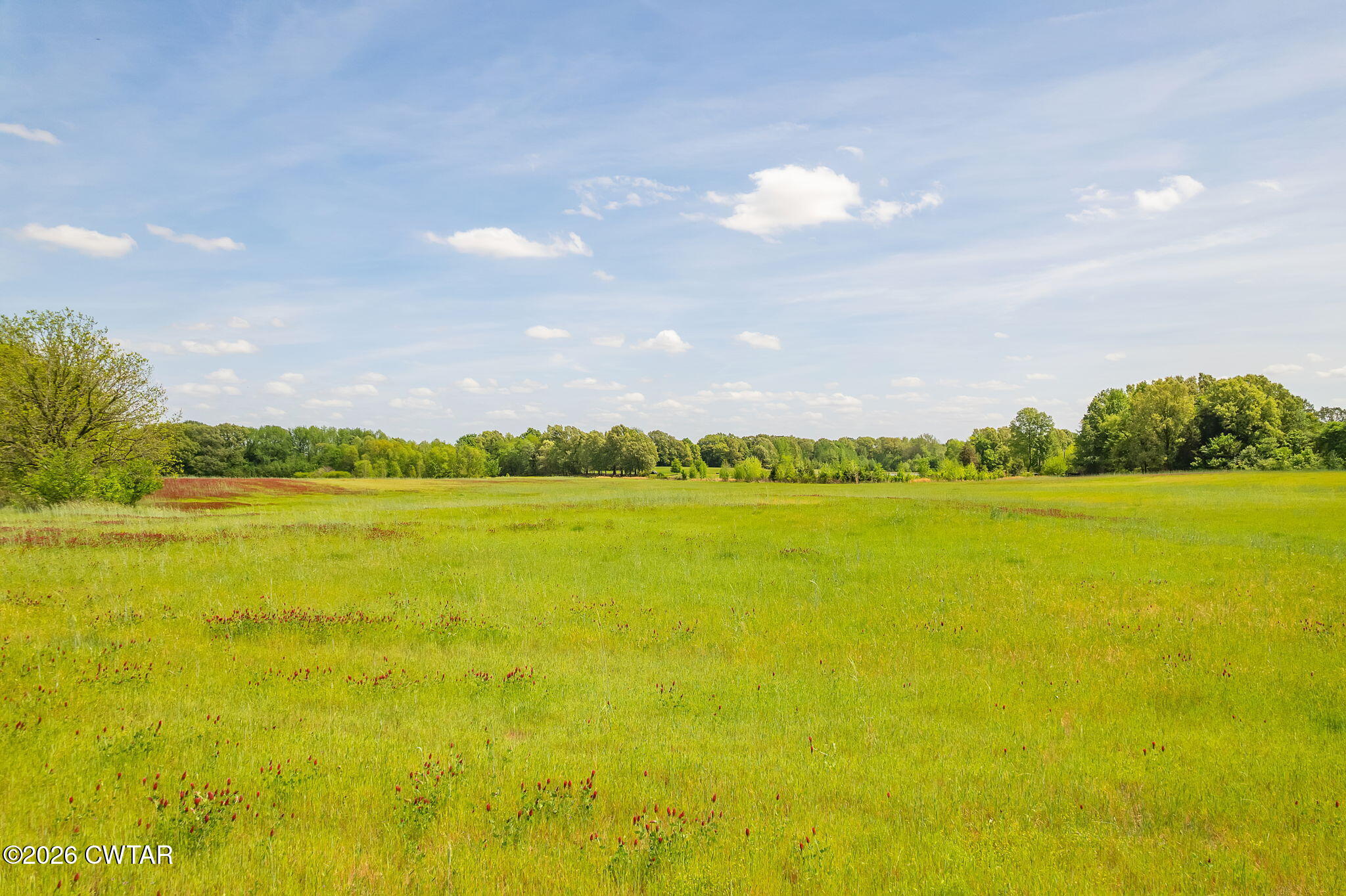 0 Egg Hill Road Alamo, TN 38001 - Photo 10 of 17 a view of an ocean from a city