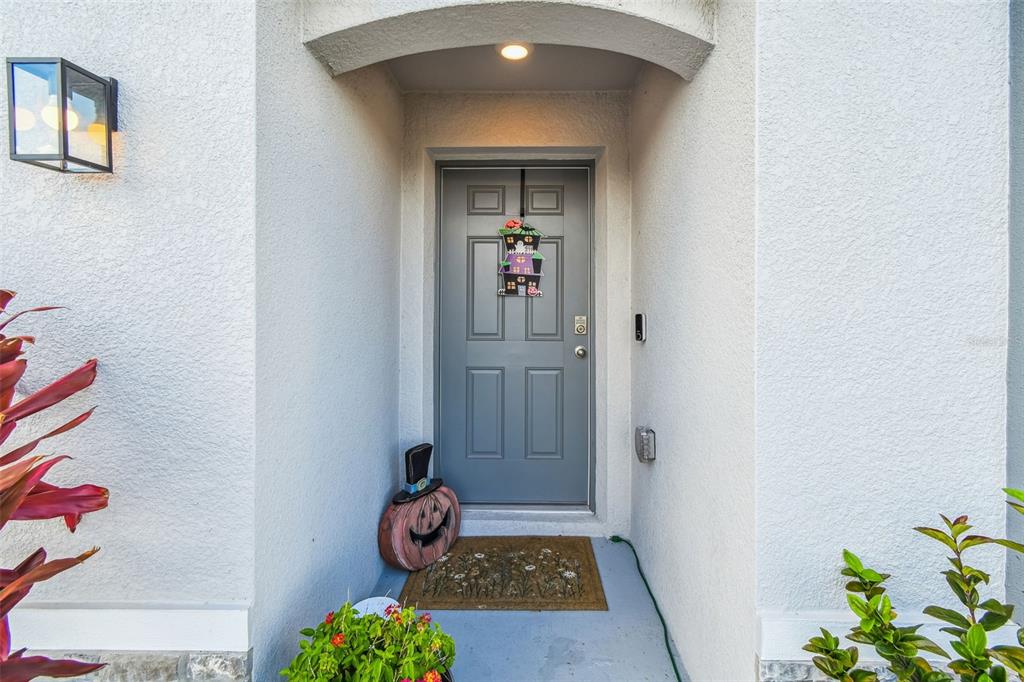 3139 Silver Date Drive Wimauma, FL 33598 - Photo 2 of 47