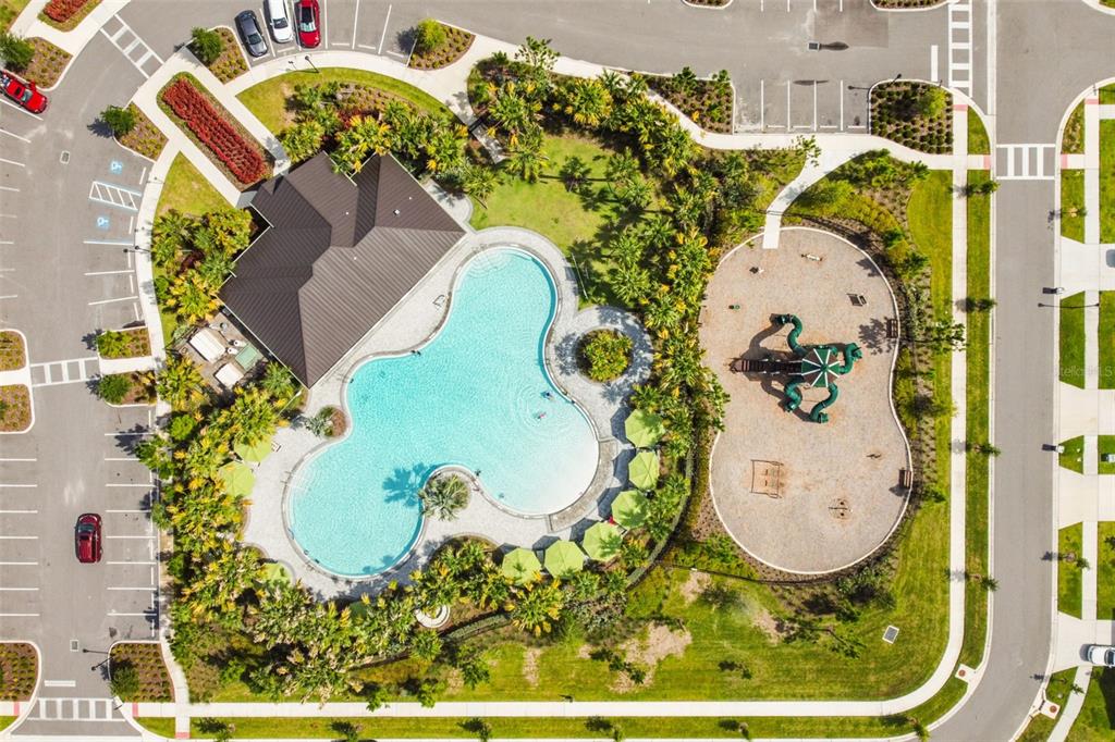 3139 Silver Date Drive Wimauma, FL 33598 - Photo 38 of 47 an aerial view of a swimming pool