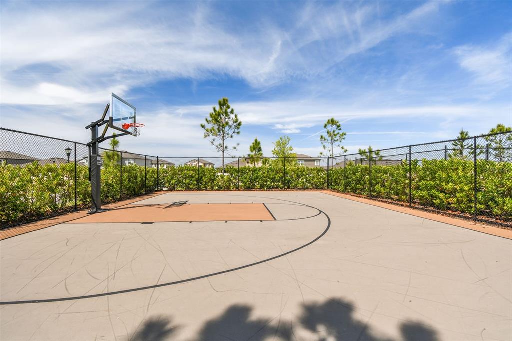 3139 Silver Date Drive Wimauma, FL 33598 - Photo 45 of 47 a view of a basket ball ground