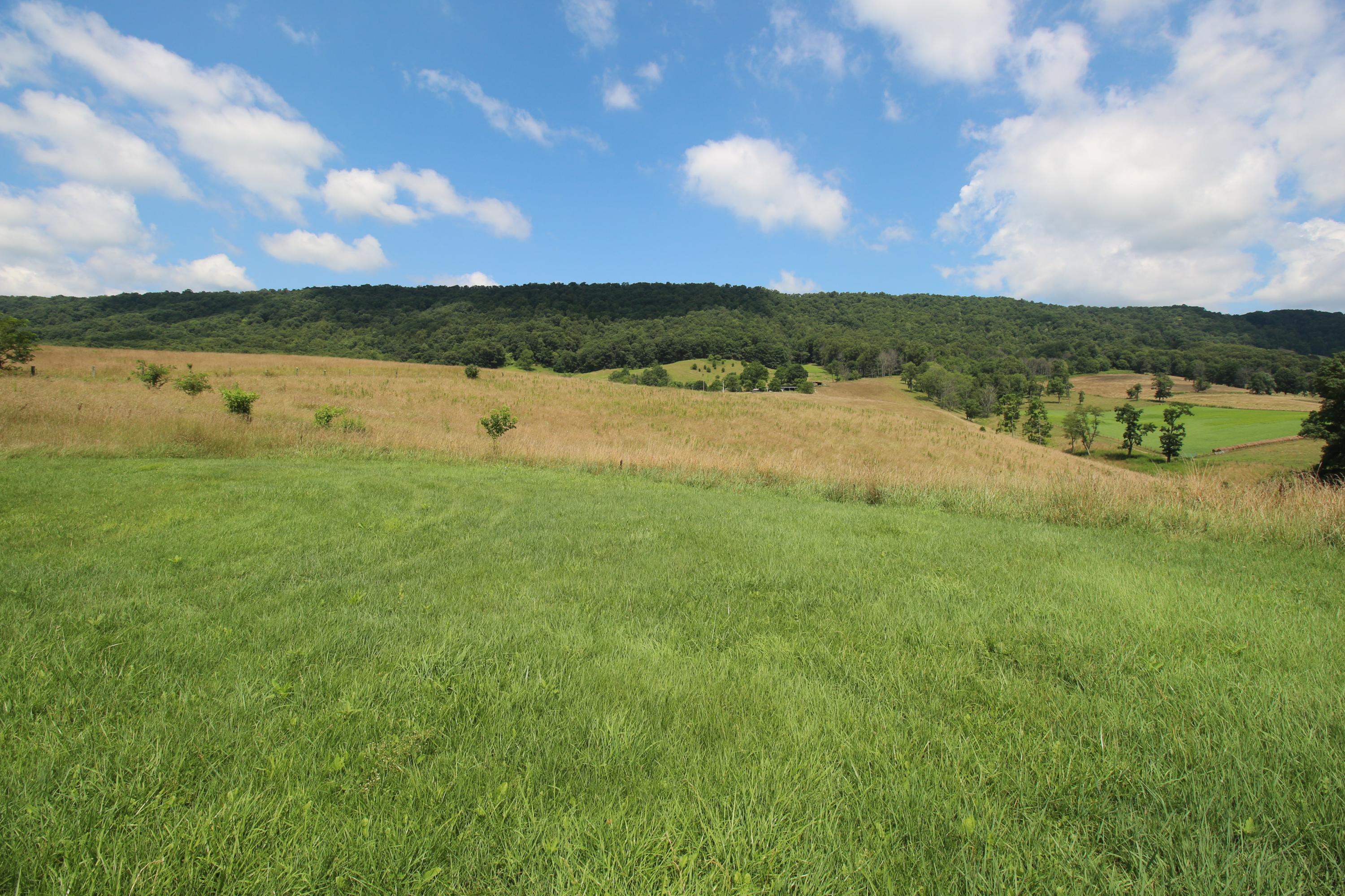 142 Whisper Ridge Lane New Castle, VA 24127 - Photo 33 of 35 IMG_2696