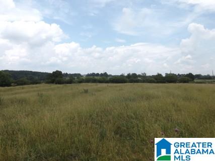 0 Highway 24 Oneonta Al Oneonta, AL 35121 - Photo 1 of 27
