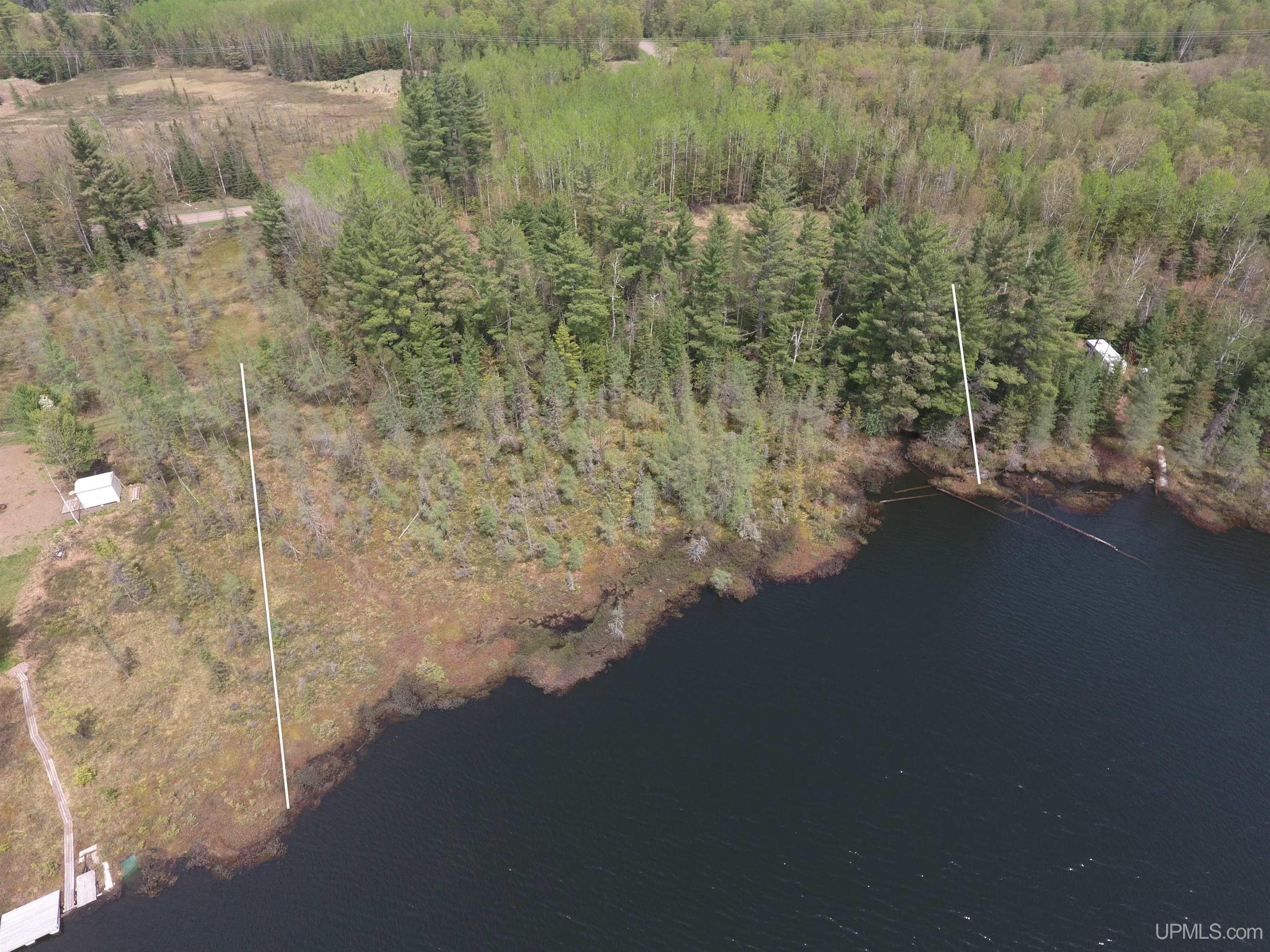 22004 South Olson Lake Road Michigamme, MI 49861 - Photo 9 of 14
