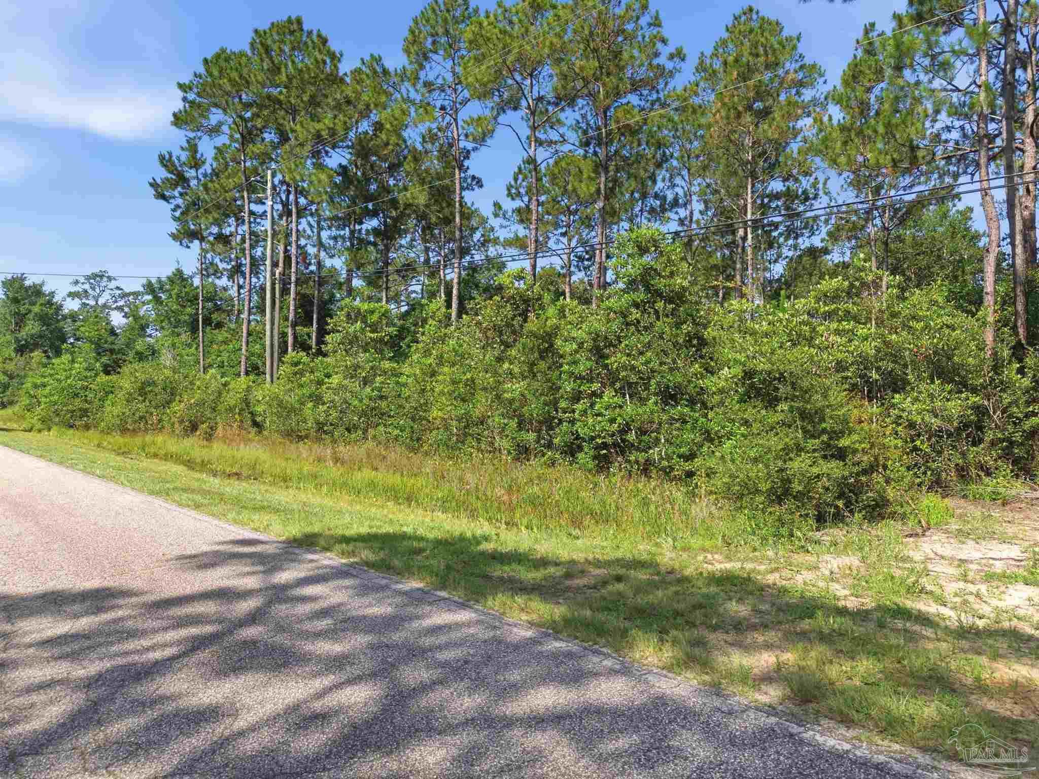 Lot 20 Robinson Point Road Milton, FL 32583 - Photo 28 of 28
