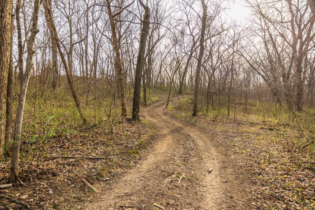 17710 Southwest 31st Road De Kalb, MO 64440 - Photo 21 of 90