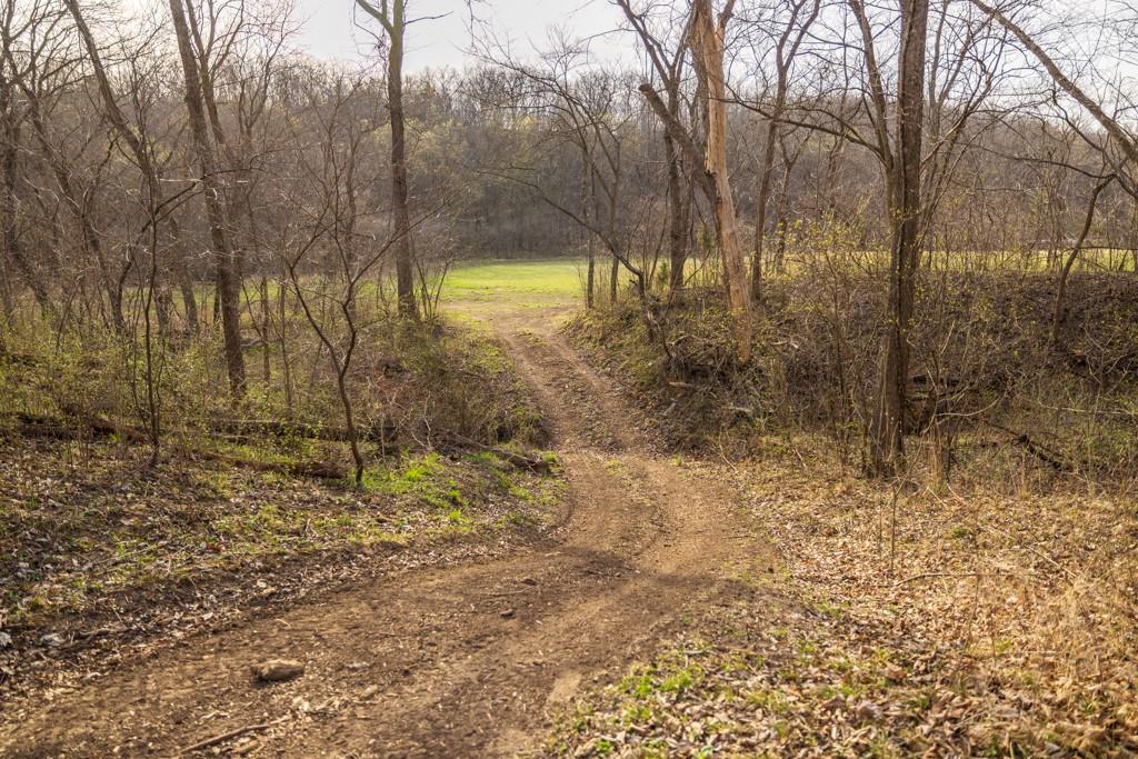 17710 Southwest 31st Road De Kalb, MO 64440 - Photo 22 of 90