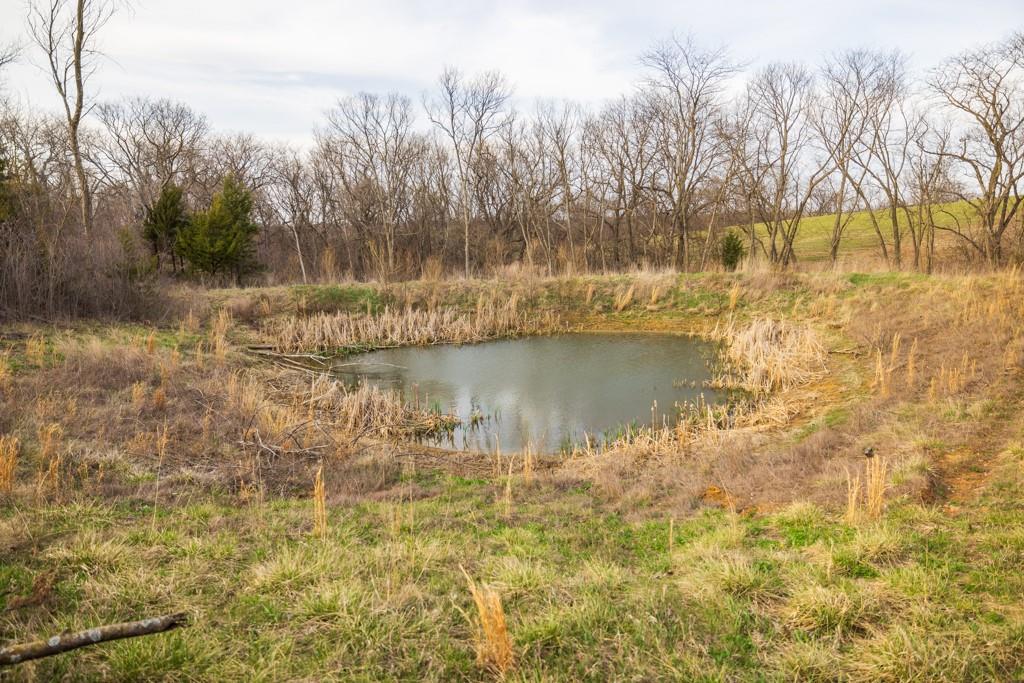 17710 Southwest 31st Road De Kalb, MO 64440 - Photo 27 of 90