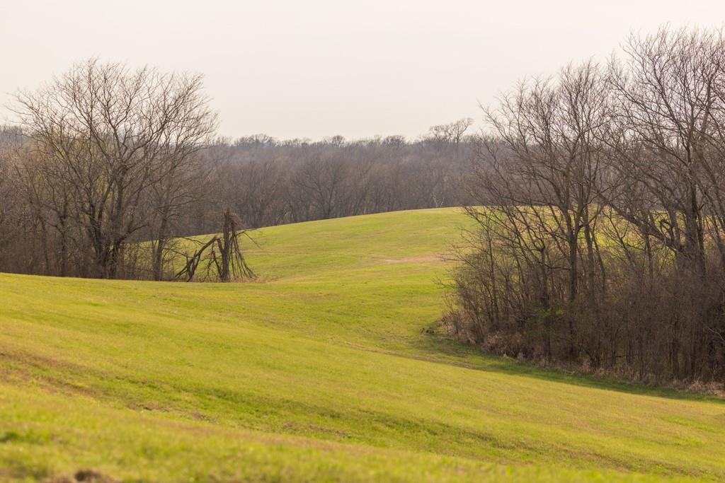 17710 Southwest 31st Road De Kalb, MO 64440 - Photo 85 of 90