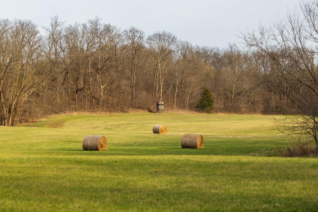 17710 Southwest 31st Road De Kalb, MO 64440 - Photo 87 of 90