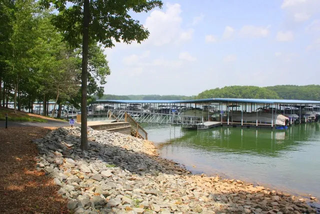 a view of a lake with trees by side of it