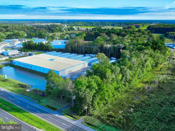 a view of a garden with an outdoor space