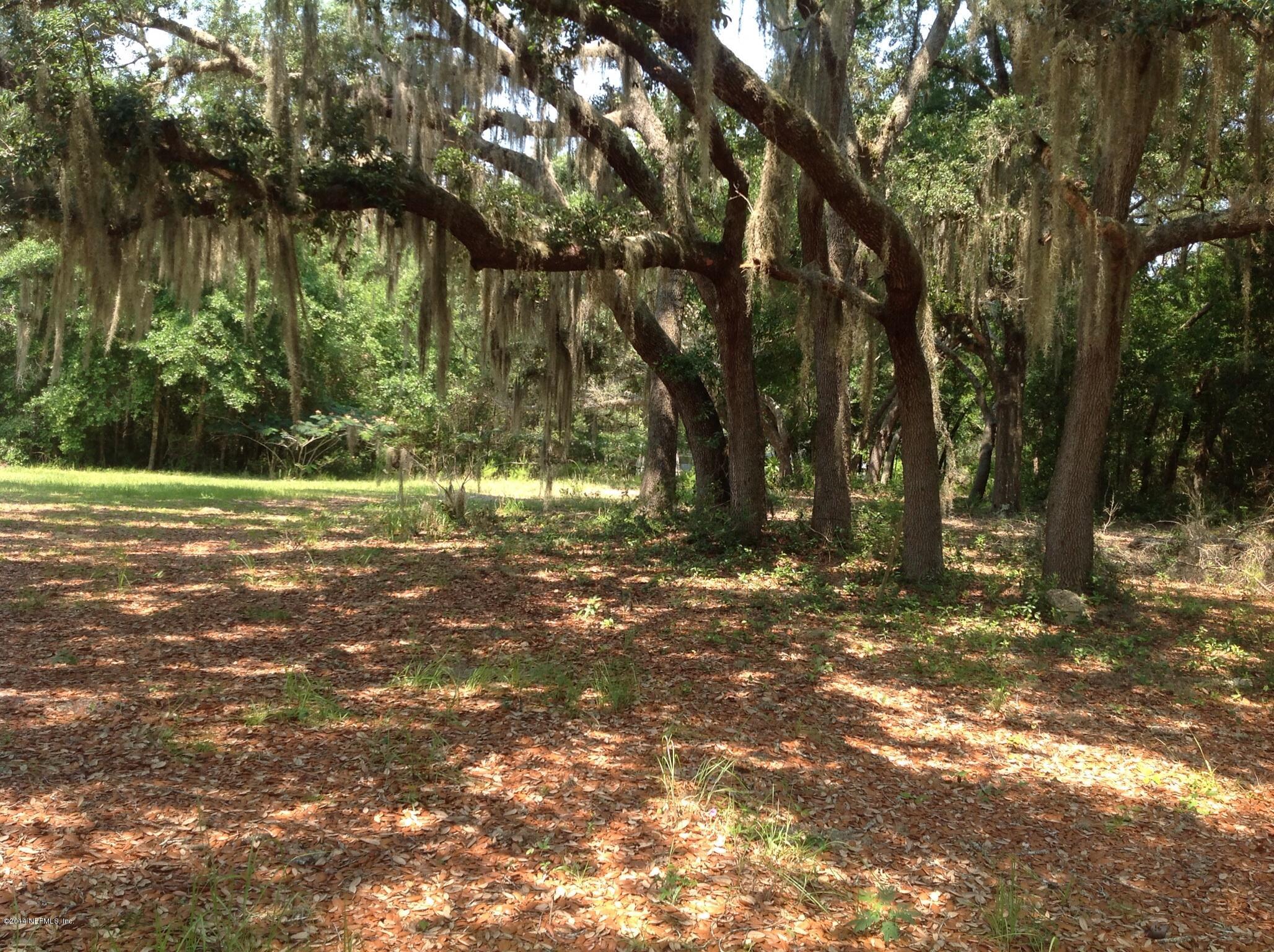 111 Stallion Road Crescent City, FL 32112 - Photo 8 of 21 Back yard