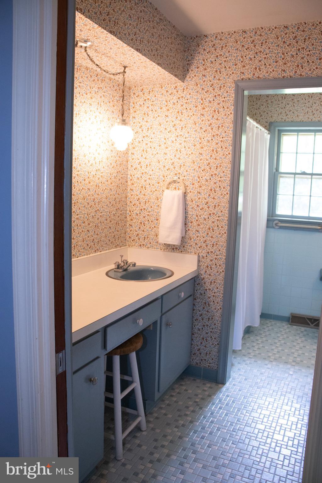 12212 Orange Plank Road Locust Grove, VA 22508 - Photo 41 of 76 Dressing table in hall bath with storage